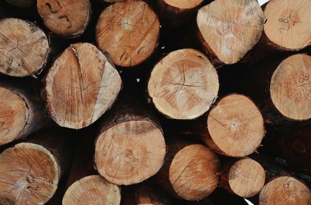 Recursos naturais